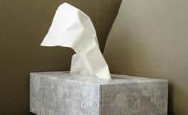 Managing Allergies to Cats