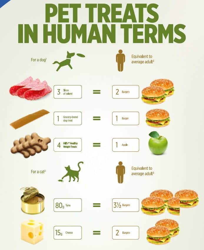 Μεταφραστής λιχουδιών