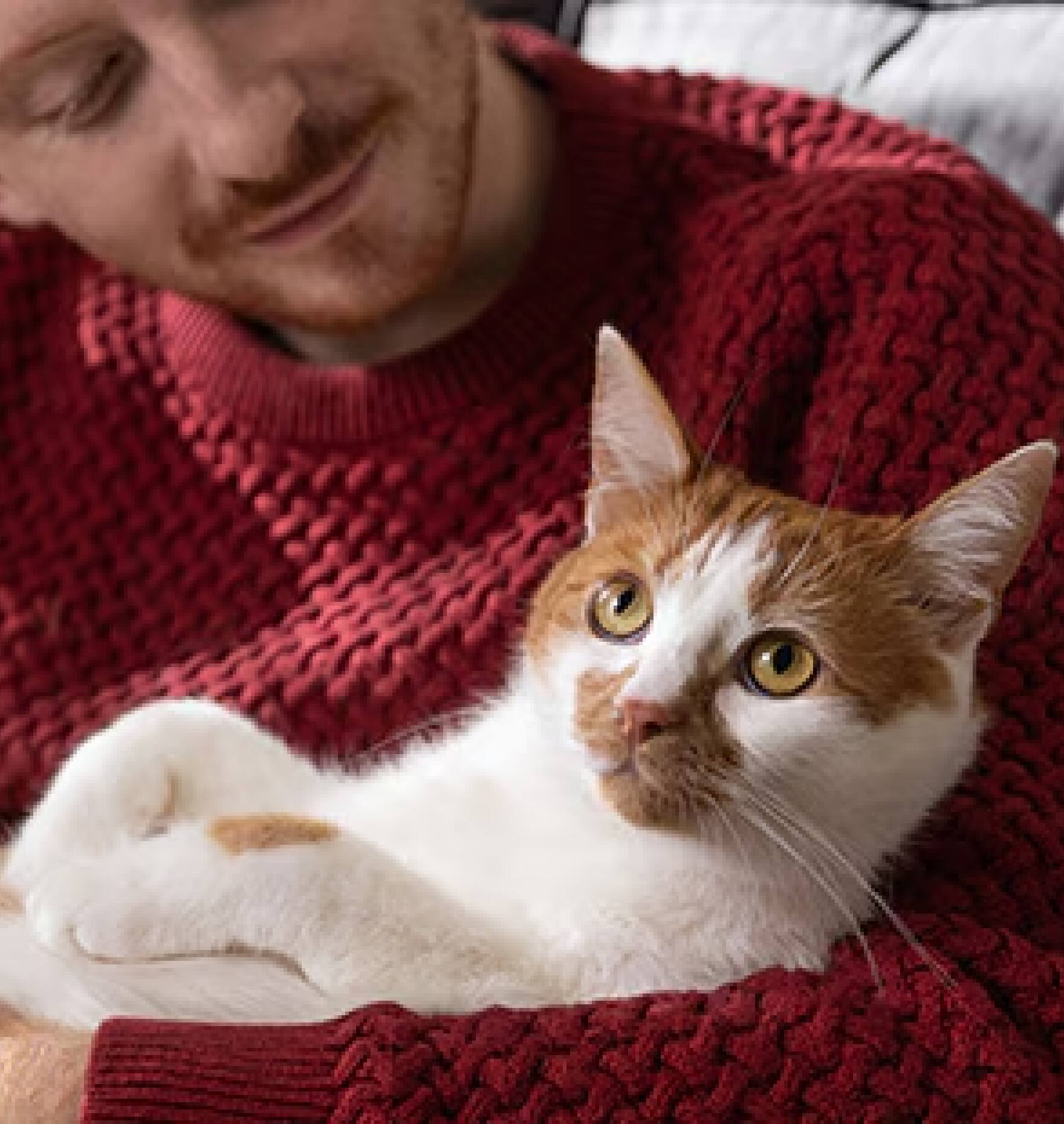 Γυναίκα με πορτοκαλί μπλούζα που κρατά μια πορτοκαλί γάτα