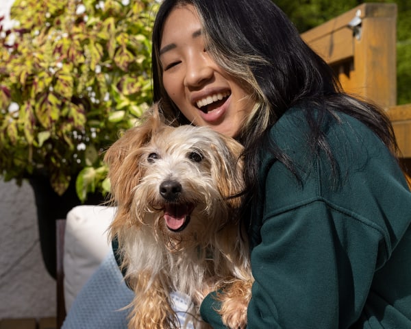 Ένα μικρό σκυλί με τον γονιό του κατοικίδιου