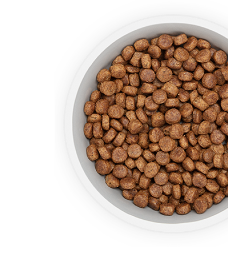 Τροφή για σκύλους