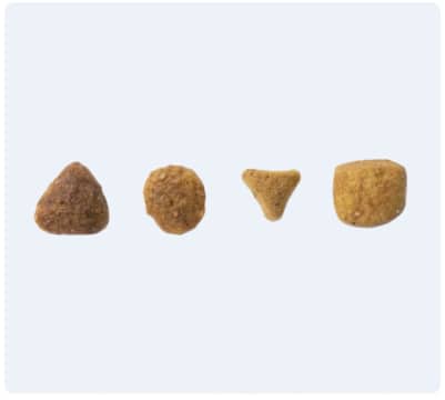 Σχήμα φαγητού