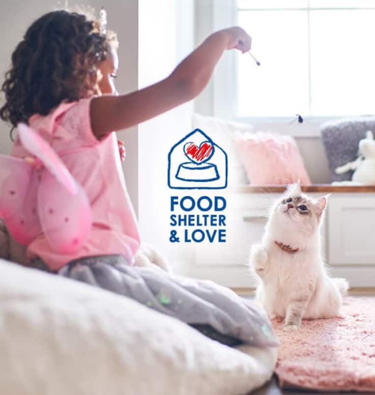 Ένα νεαρό κορίτσι δίνει λιχουδιές στην λευκή χνουδωτή γάτα της