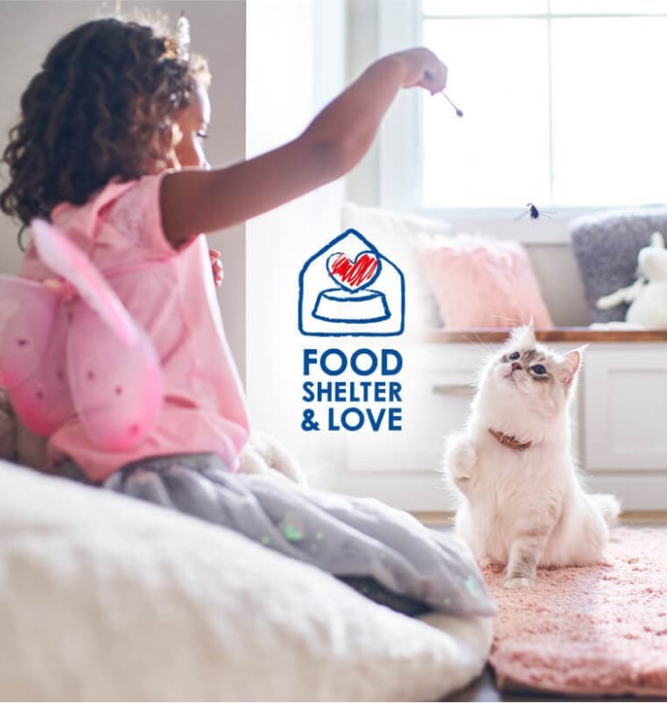 Κορίτσι που παίζει με τη γάτα της