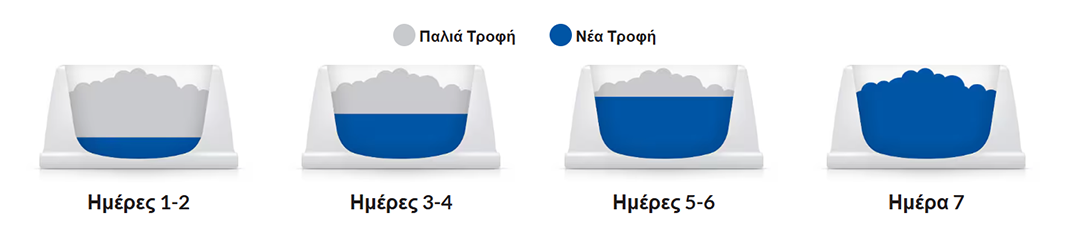 Hill's food transition